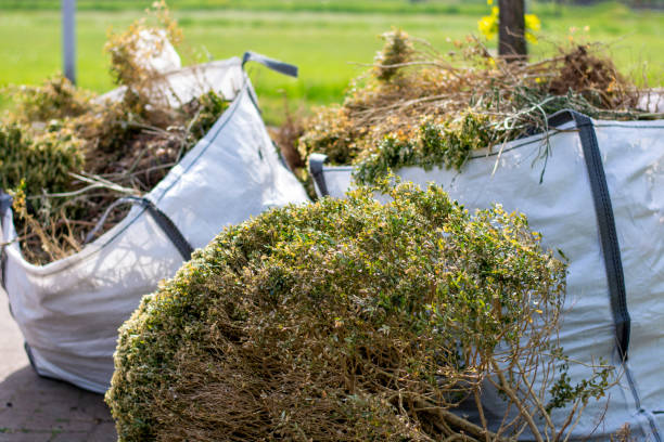 Attic Cleanout Services in Lake City, SC